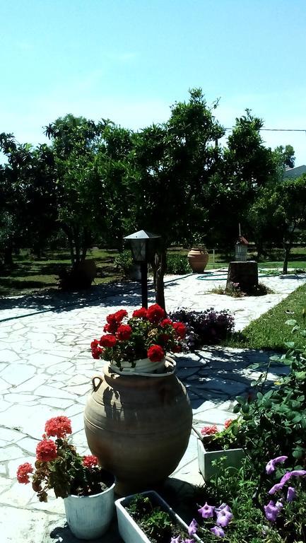 Ferienwohnung Nireas Nea Skioni Exterior foto
